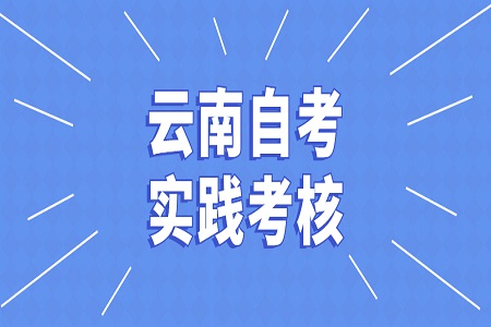 云南自学考试实践考核